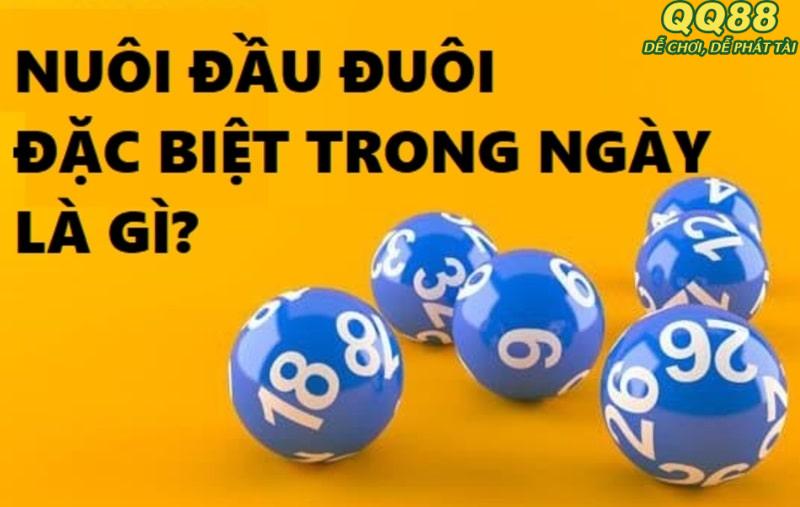 Thế nào là nuôi đầu đuôi đặc biệt trong ngày?